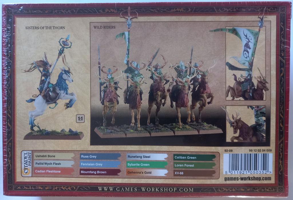 Wood Elves Sisters of the Thorn Warhammer